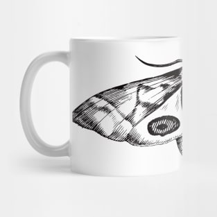 Dramabite Vintage moth illustration Mug